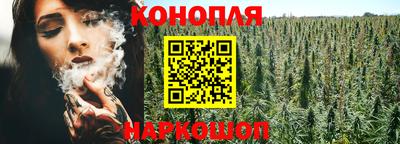 эйфоретик Камышлов