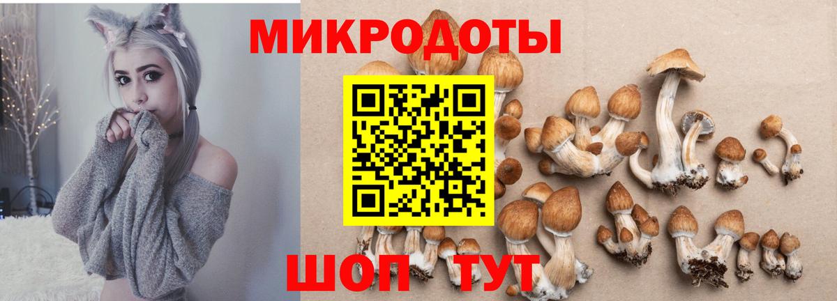 Галлюциногенные грибы Psilocybine cubensis  Галлюциногенные грибы Magic Shrooms  Уварово  Вход с VPN 